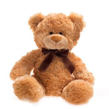 Chocolate Plush Teddy Bear