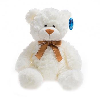 White Stuffed Teddy Bear