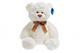 White Stuffed Teddy Bear