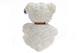 White Stuffed Teddy Bear