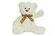 White Stuffed Teddy Bear
