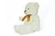 White Stuffed Teddy Bear