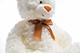 White Stuffed Teddy Bear