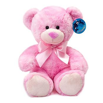 pink plush teddy bear