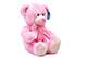Pink Plush Teddy Bear
