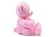Pink Plush Teddy Bear
