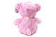 Pink Plush Teddy Bear