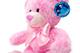 Pink Plush Teddy Bear