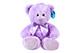 Violet Teddy Bear Plush Toy