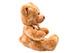 Sweet Brown Bear Plush Toy