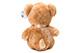 Sweet Brown Bear Plush Toy