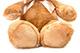 Sweet Brown Bear Plush Toy