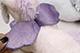 Dreamy Eyes Unicorn Soft Toy