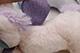 Dreamy Eyes Unicorn Soft Toy